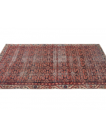 Distressed Antique Malayer Wool Rug - 3`9